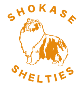 Shokase Shelties Logo